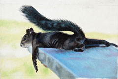 Oil Painting - Squirrel